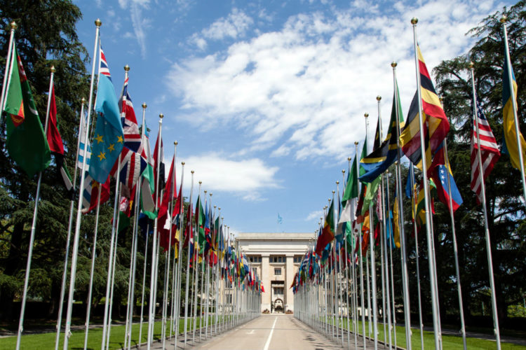 United_Nations_Flags-2222-e1508075124309